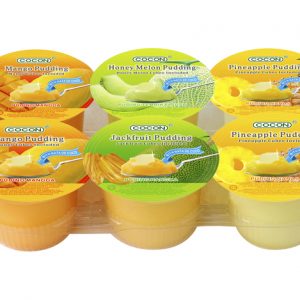 Fruit Pudding Nata de Coco with Cubes